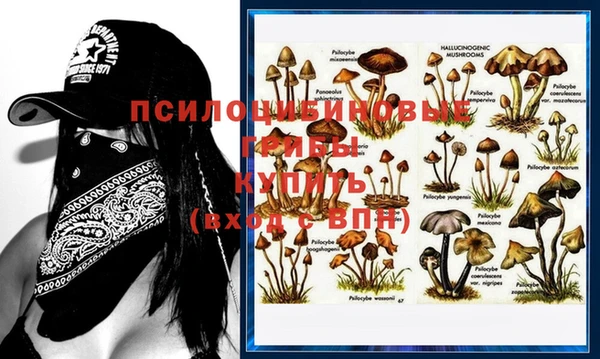 гашиш Дмитриев