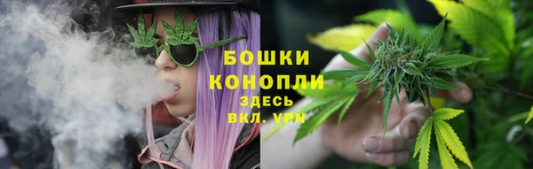 гашиш Дмитриев