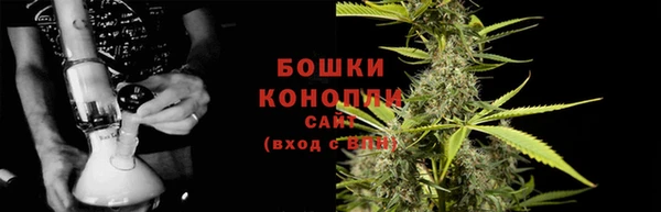 трава Ельня