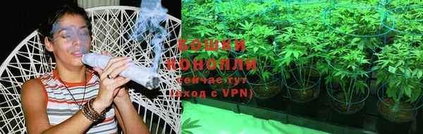 сатива Дмитров