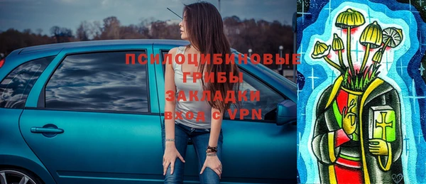 гашиш Дмитриев
