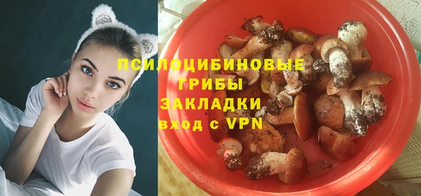 гашиш Дмитриев