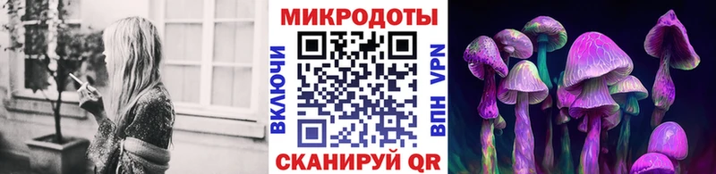 Галлюциногенные грибы Magic Shrooms  Купить закладки  Клинцы 
